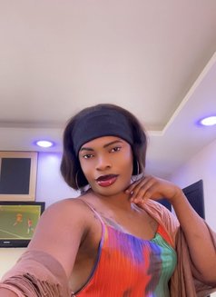 Moonlightdoll - Transsexual escort in Lagos, Nigeria Photo 6 of 8