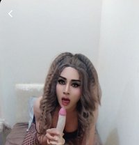 Moony - Acompañantes transexual in Muscat