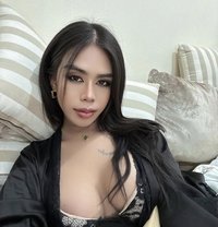 Moowans - Transsexual escort in Riyadh