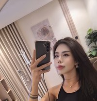 Moowans - Transsexual escort in Riyadh