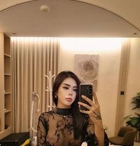 Moowans - Transsexual escort in Riyadh