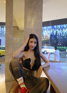 Mora From Asia - escort in Manchester Photo 17 of 19