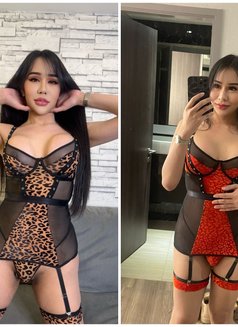 More shemale and more lady group sex - Transsexual escort in Dubai Photo 15 of 18