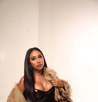 Morenafantasy4u (camshow,meet,contents) - Transsexual escort in Manila