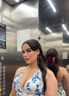 Moroccan Samoura - escort in Dubai Photo 6 of 11