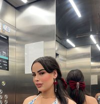 Moroccan Samoura - escort in Dubai