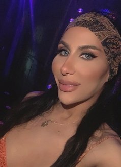 Morocan Queen - Transsexual escort in Tel Aviv Photo 19 of 21