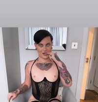 Mothplayboy - Transsexual escort in Birmingham
