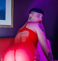 Mothplayboy - Transsexual escort in Birmingham