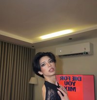 Moxie 🇹🇭 in Riyadh - Transsexual escort in Riyadh