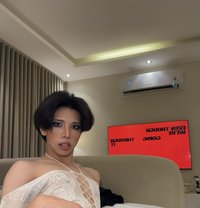 Moxie 🇹🇭 in Riyadh - Transsexual escort in Riyadh