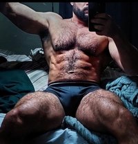 Mr Arab - Male escort in Beirut