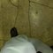 Mr. Big Tool - Male escort in Al Manama