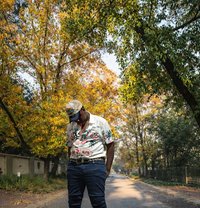 Mr Fez - Male escort in Pretoria