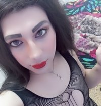 Mram - Transsexual escort in Beirut