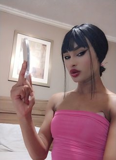 Mrina. Touma - Transsexual escort in Beirut Photo 1 of 6