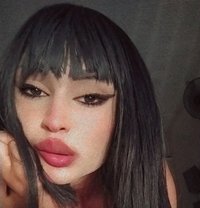 Mrina. Touma - Acompañantes transexual in Beirut