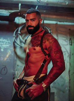 MrTHICK8 - Male escort in Limassol Photo 8 of 12