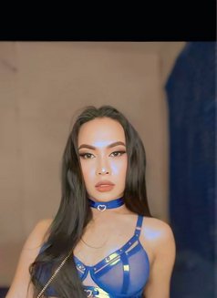 Ms. Cassanova - Acompañantes transexual in Angeles City Photo 5 of 16