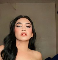 Ms. Cassanova Royale - Transsexual escort in Angeles City