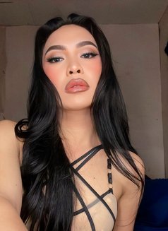 Ms. Cassanova - Transsexual escort in Angeles City Photo 19 of 20