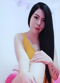 Ms.Inge Ve ( REAL PICTS & GFE SERVICE) - escort in Jakarta Photo 19 of 19