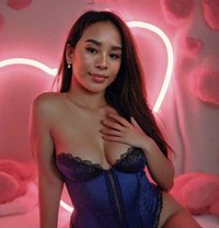 MS IVY - escort in Yokosuka