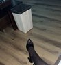 Ms Ters - dominatrix in Beirut Photo 1 of 5