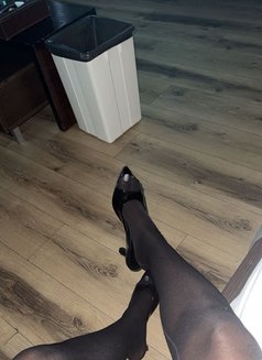 Ms Ters - dominatrix in Beirut Photo 1 of 5