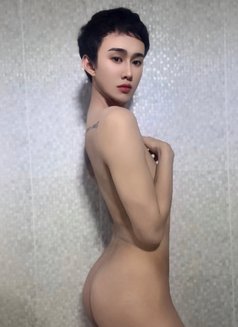 Msm Orgasm - Acompañantes masculino in Bangkok Photo 5 of 5