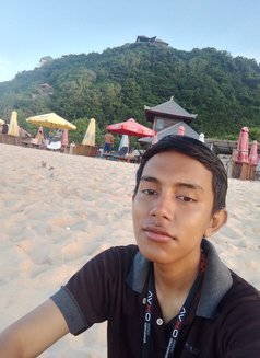 Muhammad Zulfiqar - Intérprete masculino de adultos in Bali Photo 2 of 4