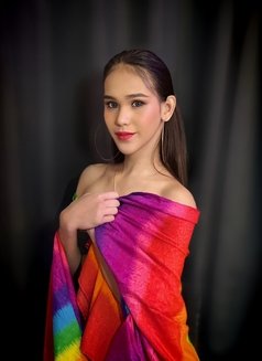 Ts lexie serving you a highness 🇵🇭 - Transsexual escort in Abu Dhabi Photo 7 of 16