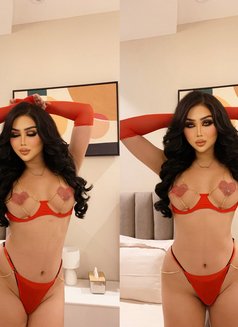 MUNA Hot ladyboy 69 شرسة وناعمة - Transsexual escort in Phuket Photo 27 of 27