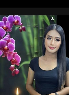 Muna spa Muwallah - Transsexual escort in Muscat Photo 9 of 9