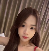 Murphy from Thailand - Acompañantes transexual in Hong Kong