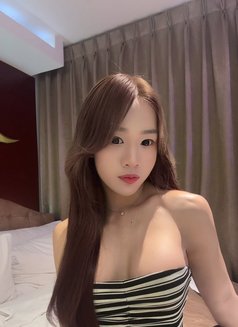 Murphy from Thailand - Acompañantes transexual in Bangkok Photo 20 of 20