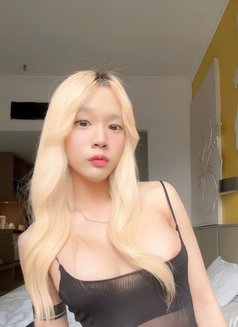 Murphy from Thailand - Transsexual escort in Singapore Photo 3 of 12