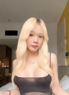 Murphy from Thailand - Transsexual escort in Singapore Photo 8 of 12