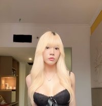 Murphy from Thailand - Transsexual escort in Kuala Lumpur