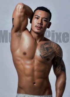 Muscle Bisex - Acompañantes masculino in Jakarta Photo 1 of 3