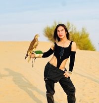 Muscle LB xl top - Transsexual escort in Kuala Lumpur