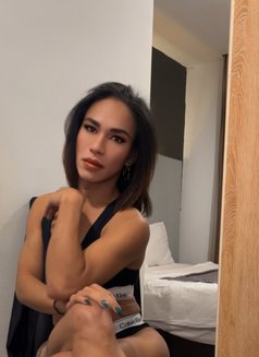 Muscle LB xl top - Transsexual escort in Kuala Lumpur Photo 15 of 15
