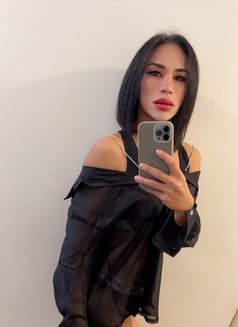 Muscle LB xl top - Transsexual escort in Kuala Lumpur Photo 13 of 14
