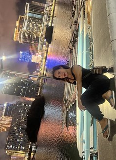 Muscle LB xl top - Transsexual escort in Kuala Lumpur Photo 13 of 13