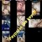 Muscle LB xl top - Transsexual escort in Kuala Lumpur Photo 4 of 14
