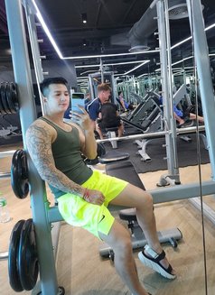 Muscle Young - Male escort in Bangkok Photo 1 of 5