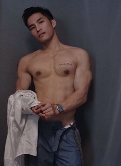 Muscular big cock male escort Paris - Male escort in Paris Photo 7 of 10