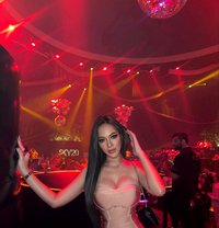 The Woman of your dreams - Transsexual escort in Tel Aviv