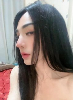 I'm Ammy Lady Boy from Thailand - Transsexual escort in Muscat Photo 2 of 14
