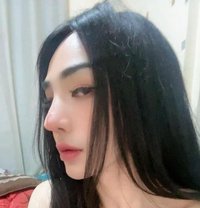 Im Ammy Lady Boy from Thailand - Transsexual escort in Muscat